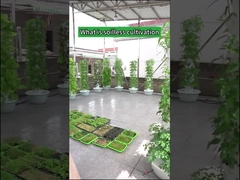 Torres de cultivo hidropônico de pétalas para cultivo interno de jardim