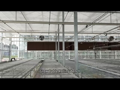 A estufa do fio da malha cresce o banco do rolamento da tabela para semear