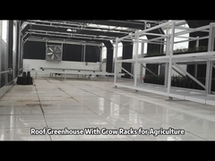 Estufas no telhado com estantes de cultivo