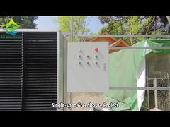 Projeto de estufa de vão único superior com ponta de pêssego AX Greenhouse