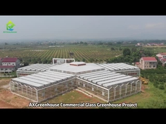 Projeto de Estufas de Vidro Comerciais de Grandes Túneis