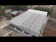 Casa de vidro comercial agrícola Venlo Abertura superior de ventilação