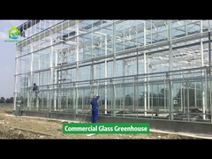 Projeto AX Greenhouse -- Estufa Comercial de Vidro