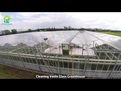 Limpeza da Estufa de Vidro Venlo