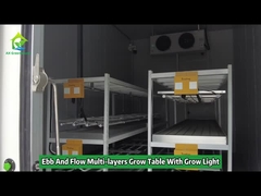 Multicamadas de vazante e inundação, mesa de cultivo, banco giratório, racks de cultivo com luz