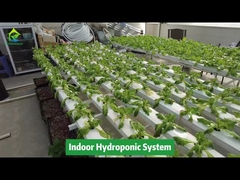 Sistema de tubulação quadrada hidropônica NFT de cultivo vertical sem solo