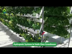 Equipamento de irrigação hidropônico vertical em estufa de Venlo