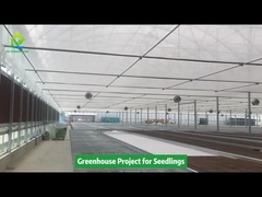 Projeto de estufa Poly Tunnel para mudas