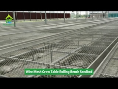 A malha móvel do equipamento do berçário da planta da sementeira cresce a plantação vegetal da tabela
