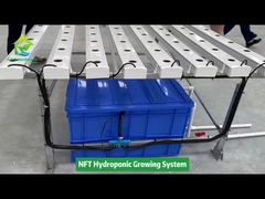 Sistema de tubulação quadrada NFT hidropônico de cultivo vertical sem solo