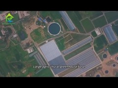 Grande base de plantação de estufas agrícolas