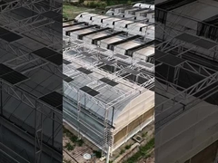 Estufa solar fotovoltaica moderna e inteligente do painel de policarbonato Venlo multi-span