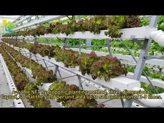 Cultivo hidropônico sem solo NFT em forma de A, solução nutritiva de PVC multicamadas, plantio de vegetais
