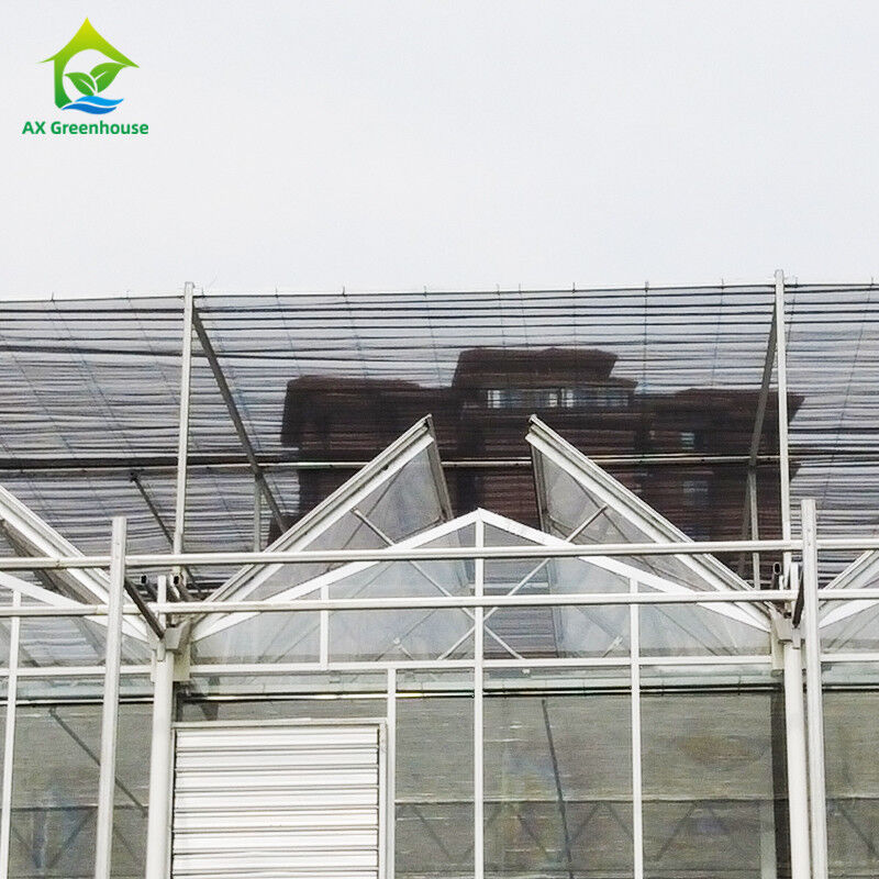 9.6m/10.8m/12m Largura Alumínio Corpo de Ligação de Vidro Agrícola Venlo Estufa Multi-span Com Triângulo Moldado teto
