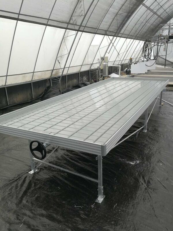 Cresça o banco de Tray Rolling Ebb And Flow da inundação da tabela para a plântula da estufa da flor