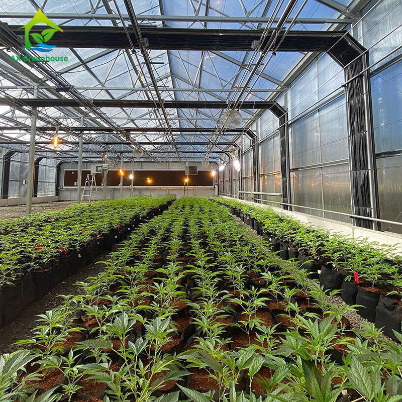Escurecimento claro da estufa da privação do filme 220V do PE estufa 100% alta do túnel do auto para plantar Mariguana