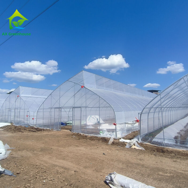 Preço da fábrica Túnel de filme de plástico personalizado Tenda de cultivo de tomate Estufa para agricultura