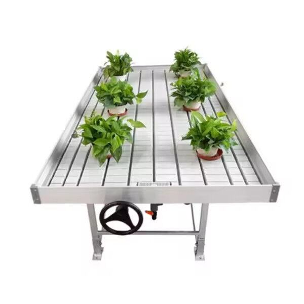 Horticultura Tabela de crescimento de estufa de tamanho personalizado Banco de rolamento de inundação de refluxo hidropônico