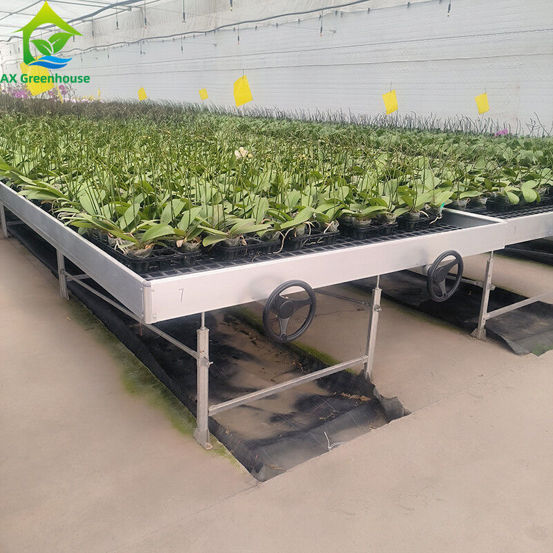 Eixo e inundação hidropônica mesa móvel banco rolante para plantas em crescimento em estufa