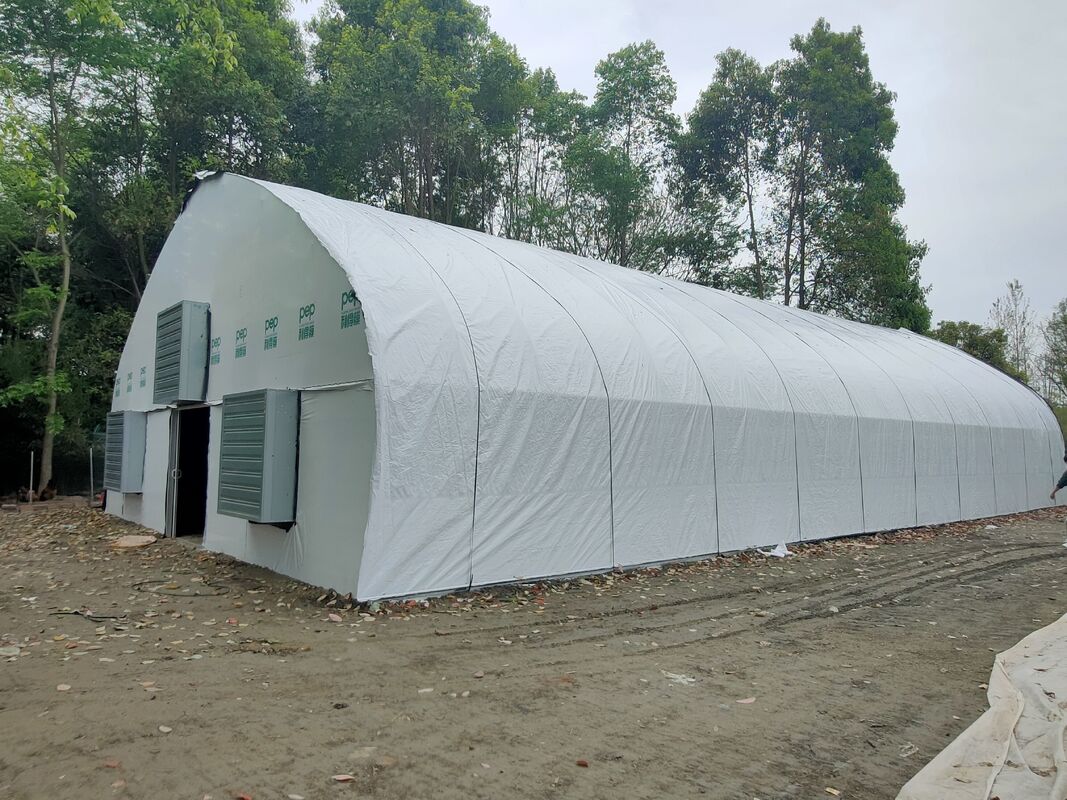 Preço da fábrica Túnel de filme de plástico personalizado Tenda de cultivo de tomate Estufa para agricultura