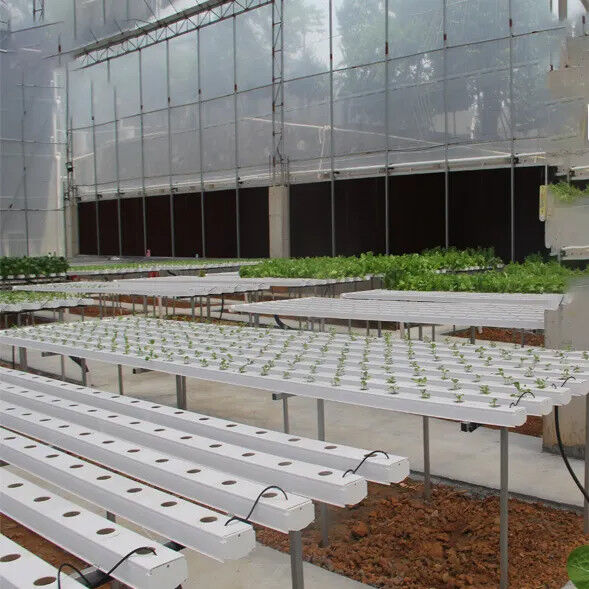 Agricultura sem solo em ambientes fechados Fertilização de morangos Tubo de PVC para hidroponia Sistema NFT para venda