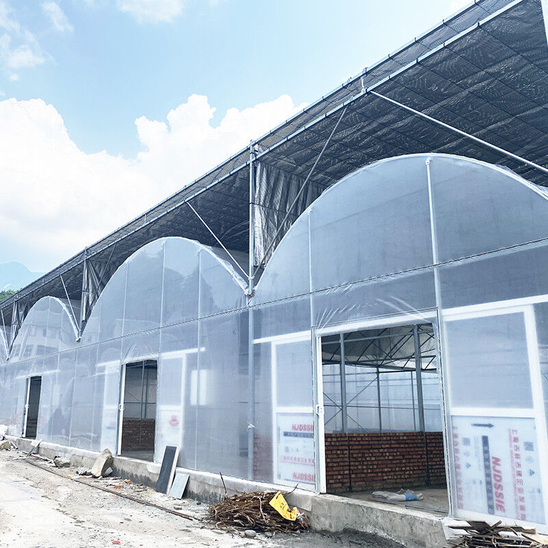 Filtro de plástico durável galvanizado a quente de aço multiespan Estufas agrícolas para frutas