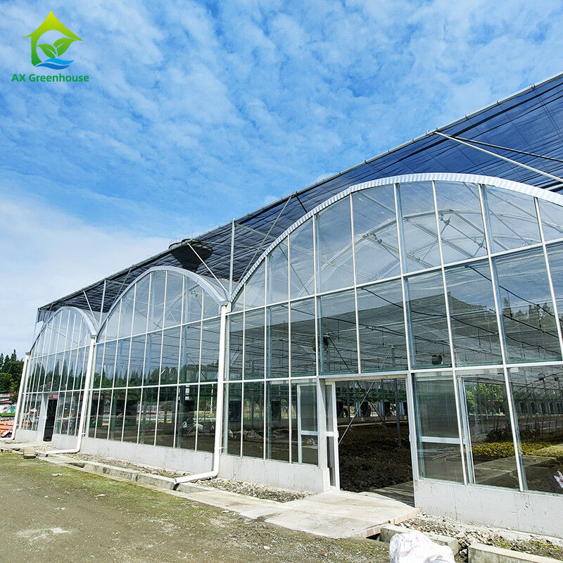 Moagem de telhados triangulares comercial de várias faixas grande túnel de vidro casa de flores de crescimento Gothic estufa