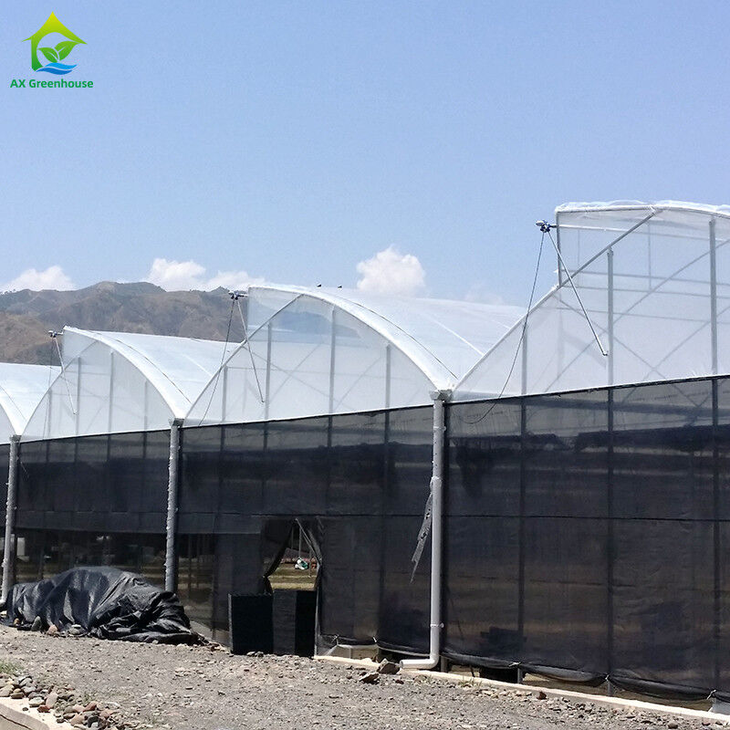 Estrutura de aço Agricultura Túnel poli negro sombreado Estufas multi-span com sistema de refrigeração opcional