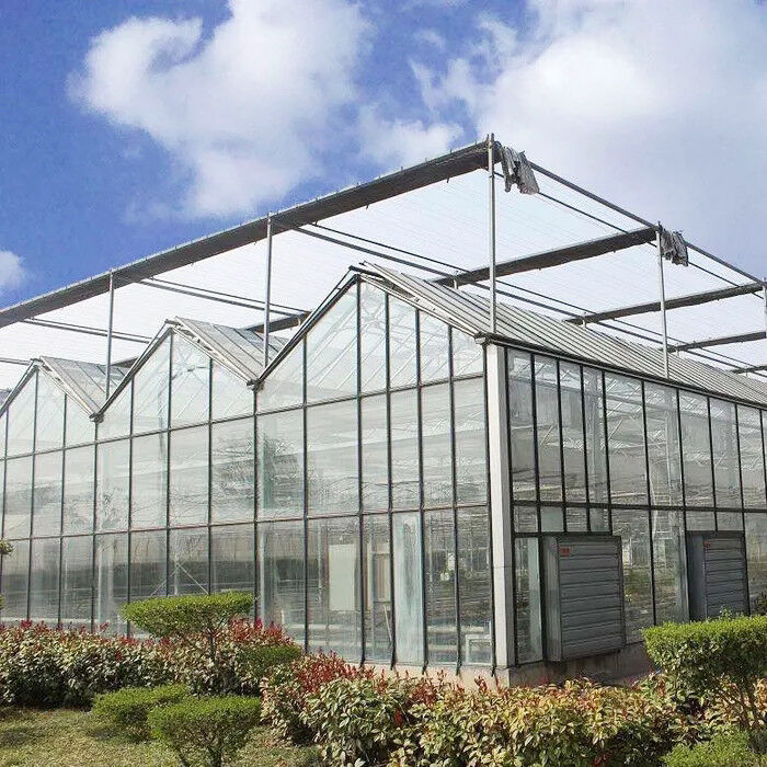 Estrutura de aço galvanizado a quente e cobertura de vidro reforçada para ventilação ideal em estufas de vidro agrícolas