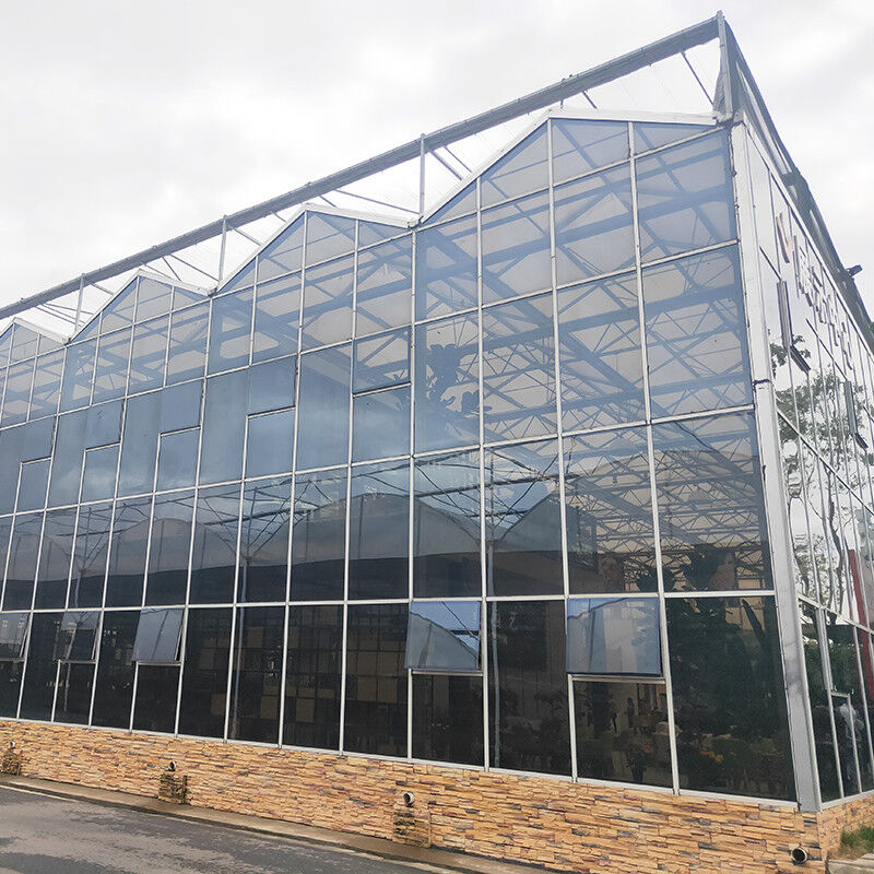 Estufas de tomate de vidro temperado de aço galvanizado multi-span Venlo para ótimas condições de crescimento