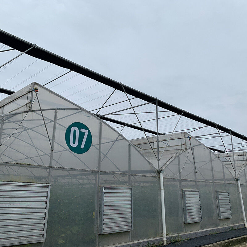 Filtro UV de plástico Poli-Túnel Agrícola Serra-dentes Multi-span Custom Estufas para Venda