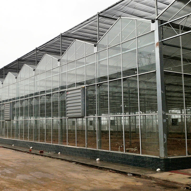 Painéis Temperados de Vidro Agrícola Tipo Venlo, Estrutura de Aço Galvanizado para Cultivo de Pepinos