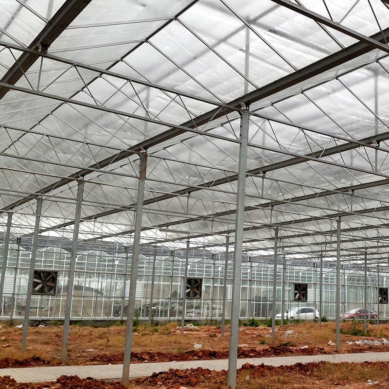 Ventilação automática Vidro agrícola Venlo Estufas de tomate com sistema de arrefecimento e sistema de ventilador