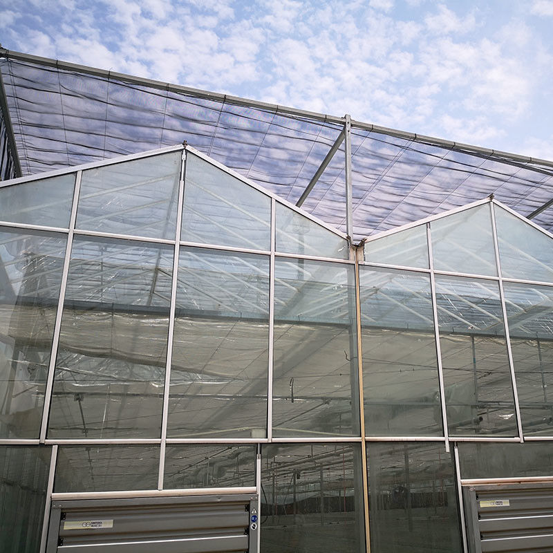 Ventilação automática Vidro agrícola Venlo Estufas de tomate com sistema de arrefecimento e sistema de ventilador
