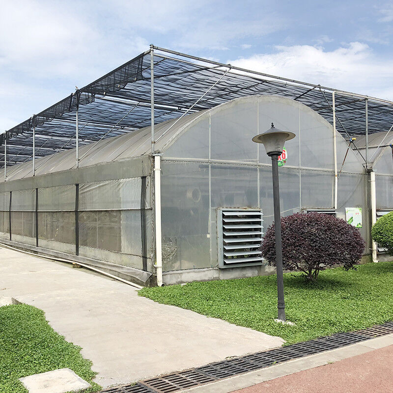 Estrutura estável Filtro industrial de plástico PE Multi-span Casa de flores agrícola Estufa de túnel poli