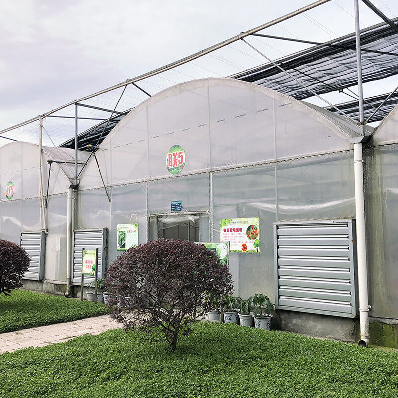 Estrutura estável Filtro industrial de plástico PE Multi-span Casa de flores agrícola Estufa de túnel poli