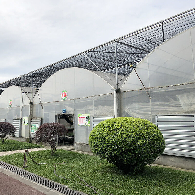 Estrutura estável Filtro industrial de plástico PE Multi-span Casa de flores agrícola Estufa de túnel poli