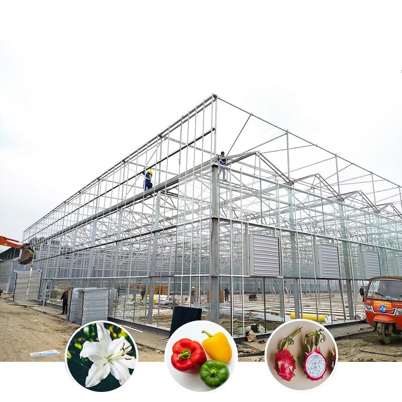 Estufas agrícolas de vidro de estilo Venlo com moldura triangular do telhado e ventilação lateral superior para ventilação