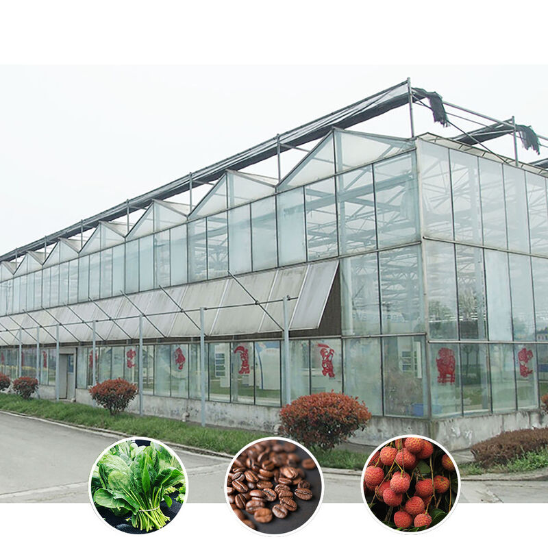 Agricultura inteligente Tipo Venlo Vidro temperado agrícola Estufas de grande diâmetro