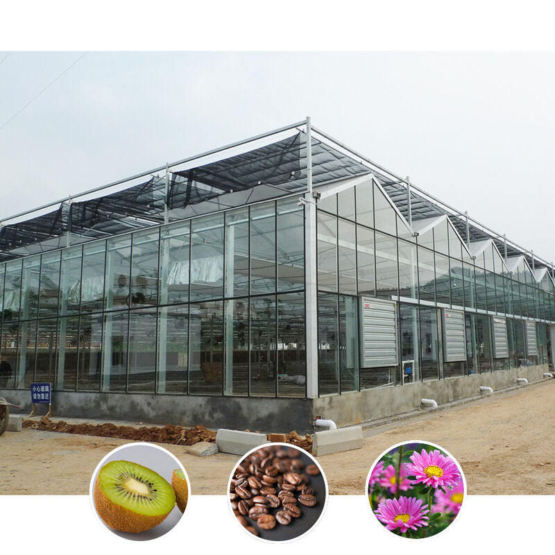 Estufas agrícolas de vidro de estilo Venlo com moldura triangular do telhado e ventilação lateral superior para ventilação