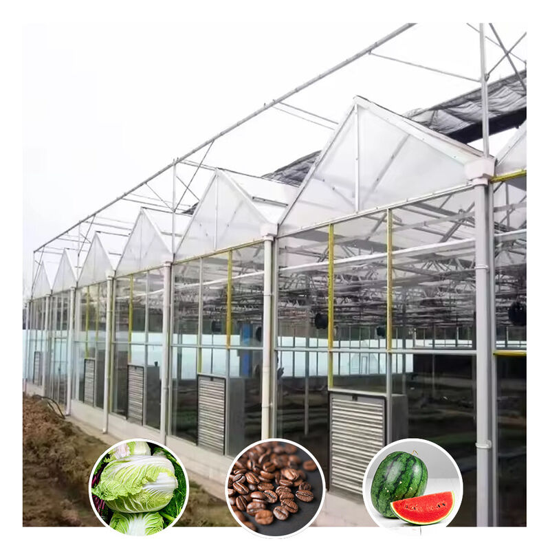 Galvanizado de tipo Venlo, grande túnel, estufa de vidro agrícola para flores