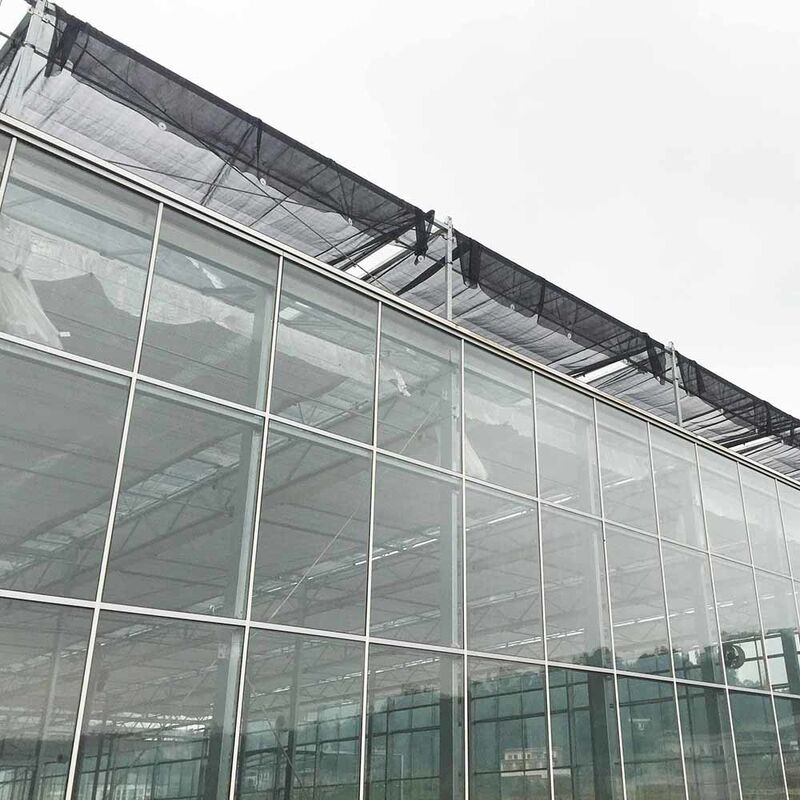 Estufas agrícolas de vidro de estilo Venlo com moldura triangular do telhado e ventilação lateral superior para ventilação