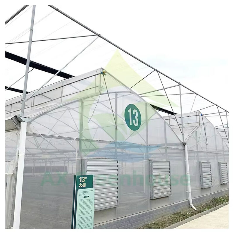 Estufas de túnel poliescala com telhado de serradura para ventilação natural e difusão de luz