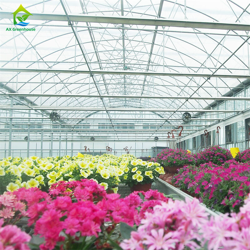 Garrafas de vidro temperado transparentes Garrafas de vidro para cultivo de plantas e flores