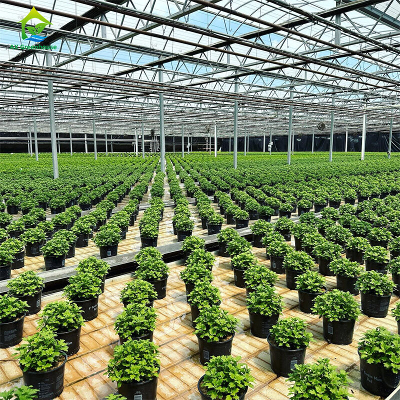 Garrafas de vidro temperado transparentes Garrafas de vidro para cultivo de plantas e flores