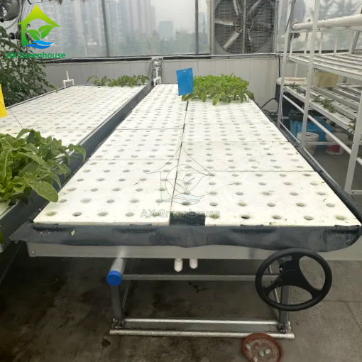 Bancada Rolante Ebb&Flow Prancha Flutuante DWC Cultura em Água Profunda Estufa Cultivo de Vegetais sem Solo