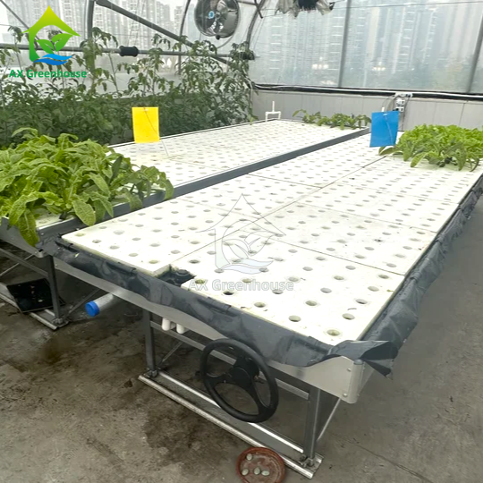 Bancada Rolante Ebb&Flow Prancha Flutuante DWC Cultura em Água Profunda Estufa Cultivo de Vegetais sem Solo