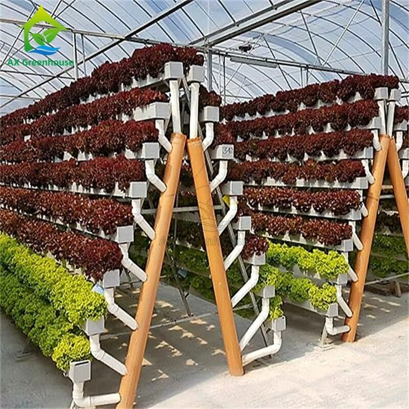 Sistema de cultivo sem solo em estufa A-frame Técnica de filme nutricional Canal NFT Cultivo de vegetais eficiente