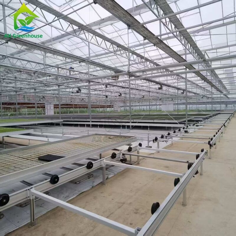 Cama de sementeira para cultivo de sementes em estufa, com base na logística personalizada