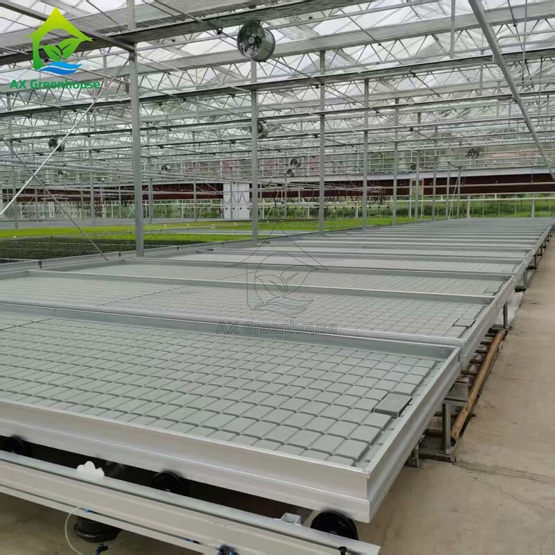 Cama de sementeira para cultivo de sementes em estufa, com base na logística personalizada